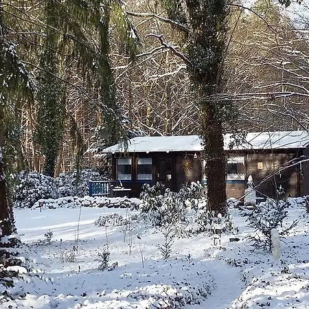 Holiday home Ferienidyll Alte Eichen *