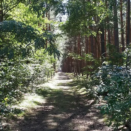 Ferienidyll Alte Eichen Holiday home *
